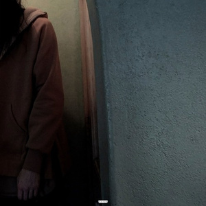 成人免费观看国产高清
